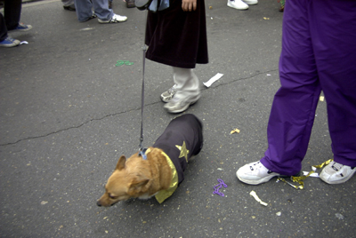 barkus2005_194