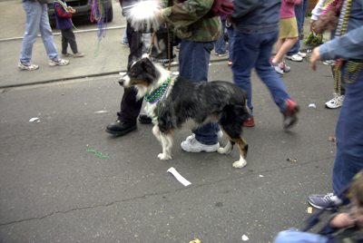 barkus2005_196