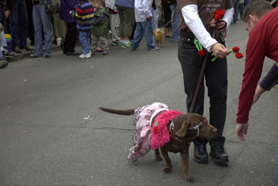 barkus2005_21