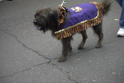 barkus2005_22