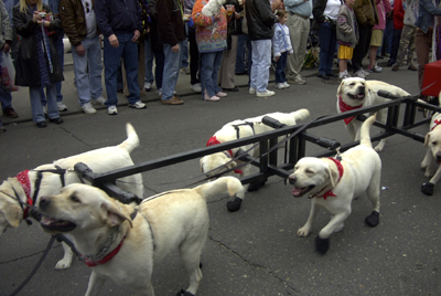 barkus2005_26