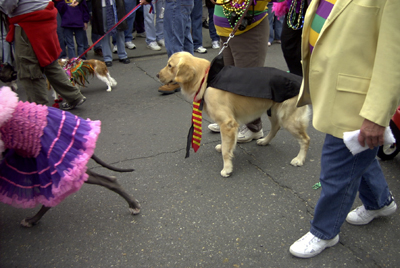 barkus2005_32