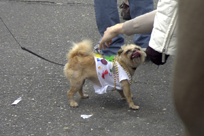 barkus2005_43