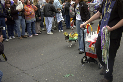 barkus2005_47