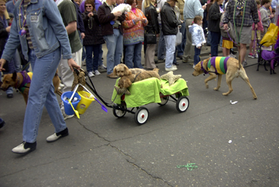 barkus2005_50