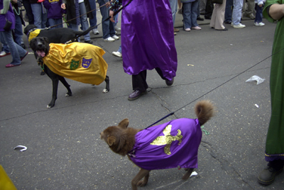 barkus2005_55