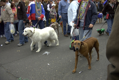 barkus2005_56