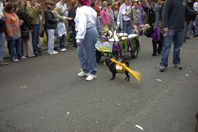 barkus2005_64