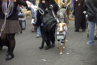 barkus2005_67