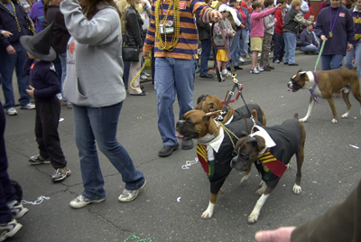 barkus2005_69