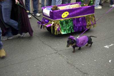 barkus2005_73