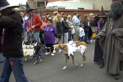 barkus2005_81