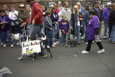 barkus2005_82