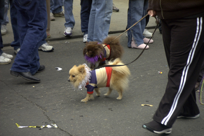 barkus2005_85