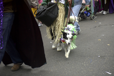 barkus2005_87