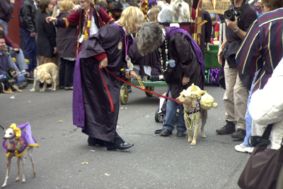 barkus2005_91