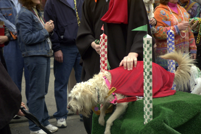 barkus2005_93