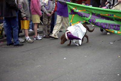 barkus2005_94