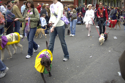 barkus2005_98