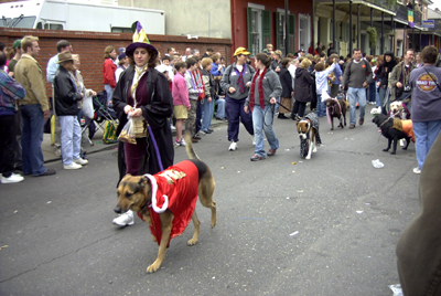 barkus2005_99