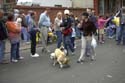 barkus2005_161