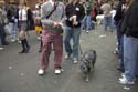 barkus2005_164