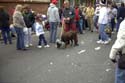 barkus2005_170