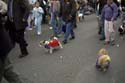 barkus2005_29