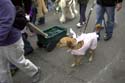 barkus2005_30