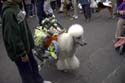 barkus2005_31