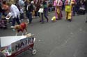 barkus2005_33