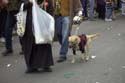 barkus2005_39