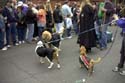 barkus2005_45