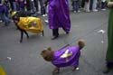 barkus2005_55