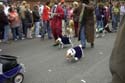 barkus2005_59