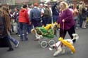 barkus2005_63