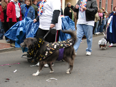 kreweofbarkus2006_00656