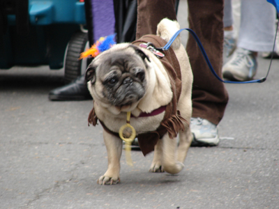 kreweofbarkus2006_00657