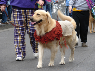 kreweofbarkus2006_00662