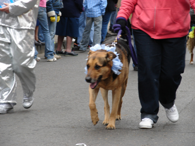 kreweofbarkus2006_00663