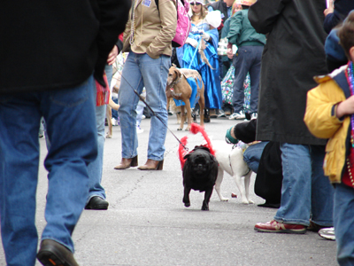 kreweofbarkus2006_00664