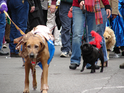 kreweofbarkus2006_00666