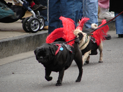 kreweofbarkus2006_00667