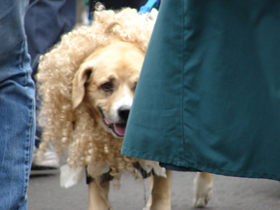 kreweofbarkus2006_00668