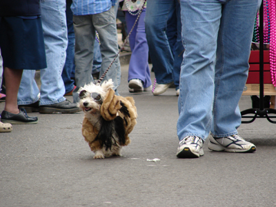 kreweofbarkus2006_00672