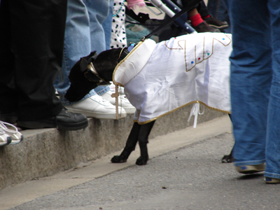 kreweofbarkus2006_00673