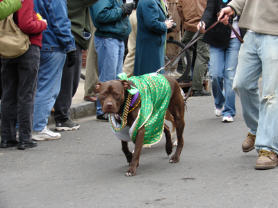 kreweofbarkus2006_00674