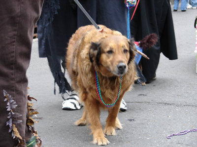 kreweofbarkus2006_00678