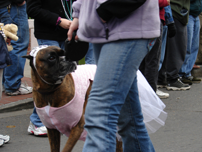 kreweofbarkus2006_00682