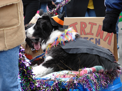 kreweofbarkus2006_00683